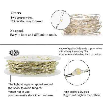 RUICHEN Fairy Lights Plug in, 33 Ft 100 LED Silver Wire Lights, Warm White - color: Warm White