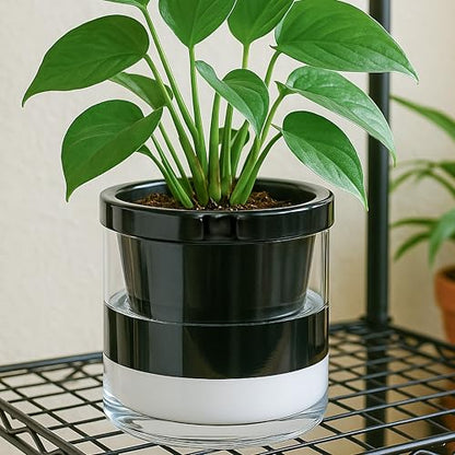 D'vine Dev Self-Watering Black Terracotta Planter Pot, 8 in, 37-X-C-3 - color: Black, size: 8 Inch