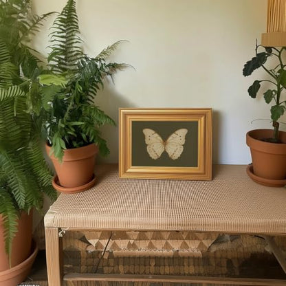 EJPFOGV Butterfly Framed Canvas Wall Art Dark Green Background 8x10 inches - color: Butterfly, size: 10"L x 8"W
