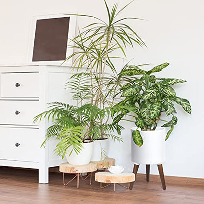 D'vine Dev 10 Inch Planter Pot with Wood Stand, White, 88-O-B-1 - color: Matte White, size: Medium
