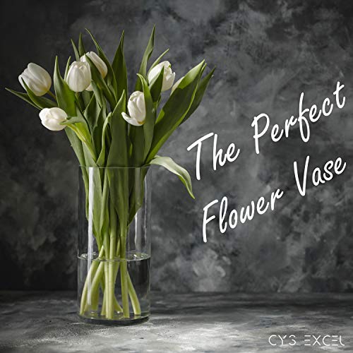 CYS Excel Clear Glass Cylinder Vase (H:9" D:4") Flower Vase Centerpieces Hurricane Floating Candle Holder - size: H-9" D-4"