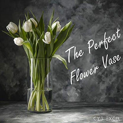 CYS Excel Clear Glass Cylinder Vase (H:9" D:4") Flower Vase Centerpieces Hurricane Floating Candle Holder - size: H-9" D-4"