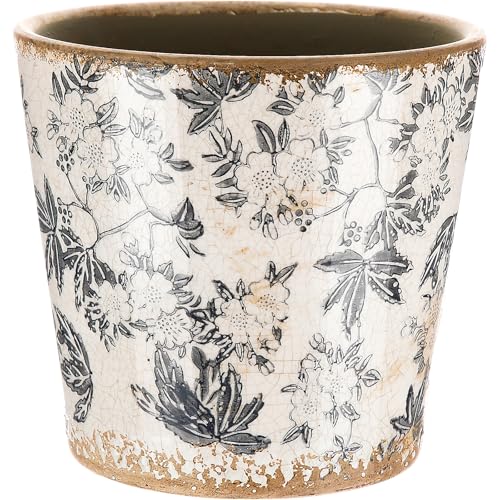 Beeveer Farmhouse Ceramic Planter 5.5 Inch Large Plants Pot Crack Beige Gray Flowers Plant Pots with Drainage Hole Indoor Plants Kitchen Rustic Antique Decor Gift - color: Black & Beige, size: 5.5 Inch