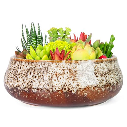 Succulent Pots, 8 Inch Large Bonsai Pots with Drainage, Ceramic Planters - color: White