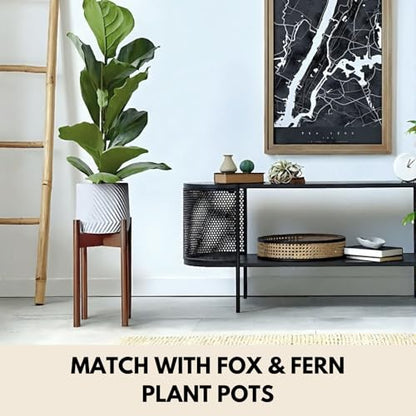 Fox & Fern Large Adjustable Plant Stand Indoor, Bamboo Stand, 8 - 12 Inch - color: Polished Bamboo - Mid, size: 8 - 12 Inch