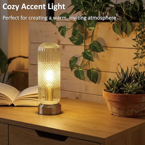 Buruis 11.6 Inch Touch Dimmable Table Lamp with Ribbed Glass Shade, Clear - color: Clear