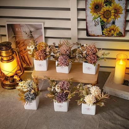 6PCS Artificial Fall Flowers with Ceramic Vases – Chrysanthemums & Daisies - color: Fall Multicolor