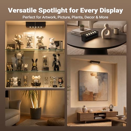 Rechargeable Indoor Spotlight, 5500mAh Battery Operated Picture Light with Daily Auto Timer, Wireless Art Light with Dimmable & 3CCT for Plant, Artwork, Gallery, Picture, Remote Control (2, Black)
