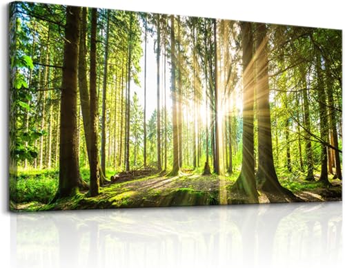 Yxbhhym-Large Living Room Wall Art Landscape Picture Painting Spring Forest Canvas Wall Art Natural Sun Tree Prints Green Room Decor Sunset Poster Office Artwork Home Bedroom Wall Decorations - color: Blandscape, size: 60"L x 30"W