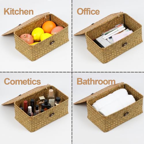 Seagrass Wicker Storage Basket with Lid, Medium, Natural - color: Natural, size: 10.23" x 6.3" x 4.13"