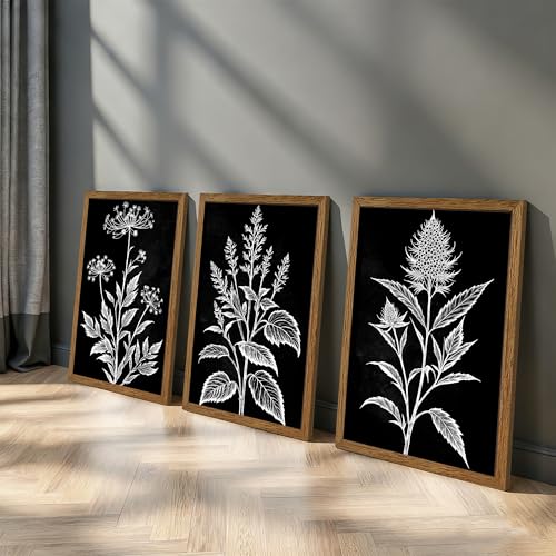 AVECCO 3 Pieces Black White Botanical Wall Art Canvas Framed 20x30 Inch - color: Dark, size: 30"L x 20"W