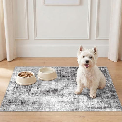 Washable Rug 2x3 for Entryway: Modern Abstract Bathroom Area Rug Black - color: Black, size: 2' x 3' (Rectangular)