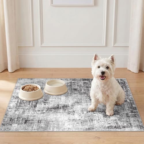 Washable Rug 2x3 for Entryway: Modern Abstract Bathroom Area Rug Black - color: Black, size: 2' x 3' (Rectangular)