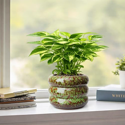 Ceramic 6 inch Plant Pot - Planter for Indoor Plants with Drainage Hole - color: Green-s