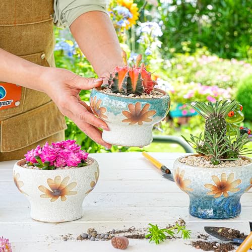 Sungmor Small Succulent Planters Set of 3, Beautiful Hand Crafted Ceramic Plant Pots Cute Cactus Pot, 4.9 Inch Flower Pots for Indoor Plants with Drainage, Desktop Windowsill Home Office Decor Pots - color: Style-a (Dia.: 4.9inch & H: 3.5inch)
