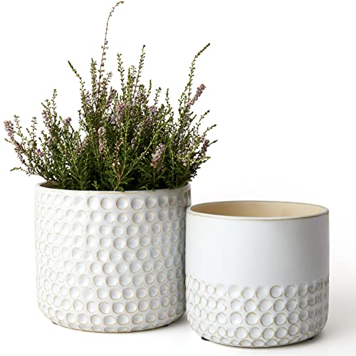 LA Jolie Muse Ceramic Plant Pots, Flower Pots for Indoor Plants, Set of 2 - color: Glacier Gray