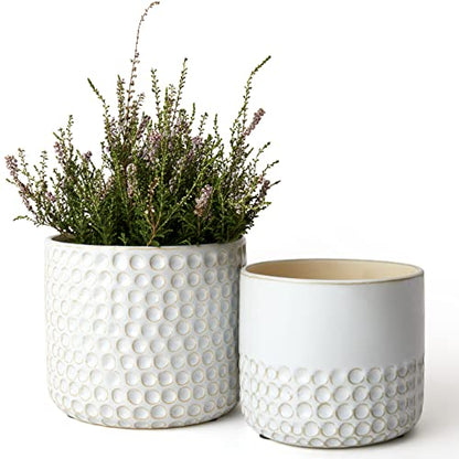 LA Jolie Muse Ceramic Plant Pots, Flower Pots for Indoor Plants, Set of 2 - color: Glacier Gray