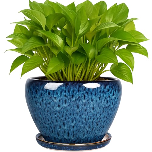 Deep Dream 6 Inch Plant Pots- Ceramic Planter Pot with Drainage Hole and Saucer, Round Flower Pot for Indoor Outdoor Succulent, Snake Plants and Cactus, Blue - color: Blue, size: 6 Inch