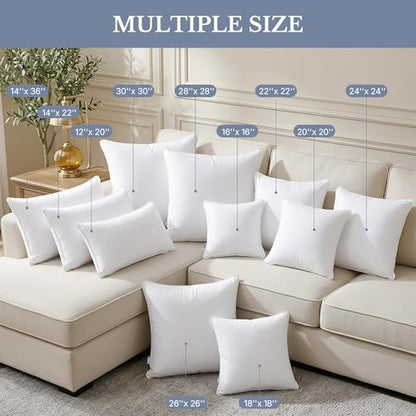 Leeden 18x18 Throw Pillow Inserts Set of 2-100% Cotton Cover - size: 18x18 Inch