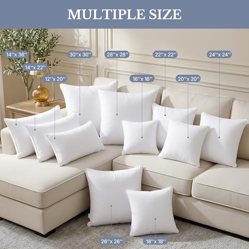 Leeden 24x24 Throw Pillow Inserts Set of 2-100% Cotton Cover - size: 24x24 Inch