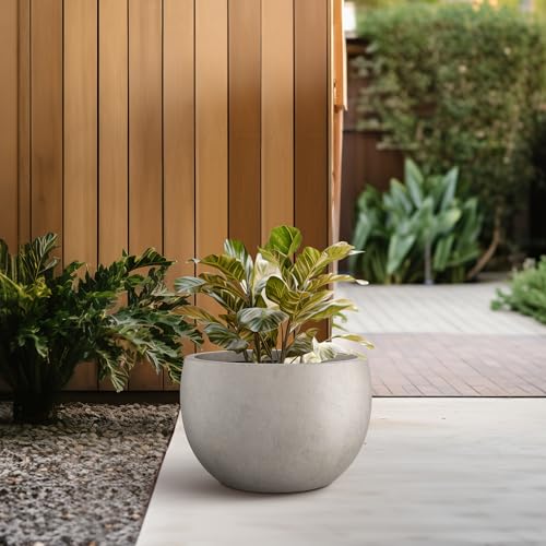 Kante 7.9" Tall Round Bowl Concrete Planter, Weathered Finish for Home - color: Weathered Concrete, size: 11.8" d