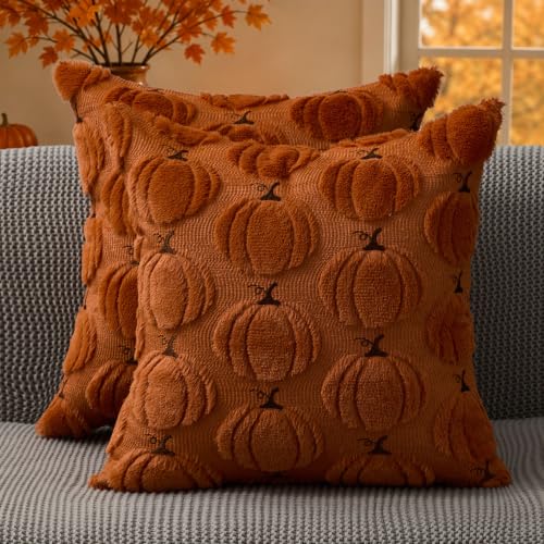 DFXSZ Fall Pillow Covers 18x18 Set of 2 Rust Pumpkin Embroidery - color: Rust, size: 18" x 18" (Pack of 2)