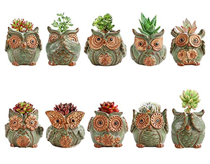 TOPZEA 10 Pack Succulent Planter Pots with Drainage Hole, Cute Owl Ceramic Small Planters Animal Tiny Flower Plant Pots Containers Indoor for Cactus, Herb, Home, Garden, Windowsill, Coffee Table Decor