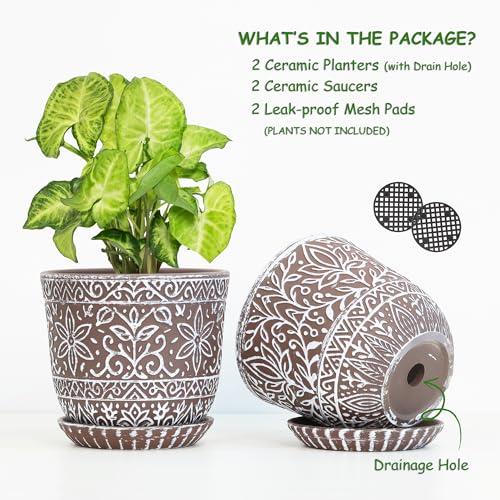 Gepege Ceramic Plant Pots, 6 Inch Indoor Planters with Drainage & Saucers - color: Brown-a, size: 6 Inch - Set of 2