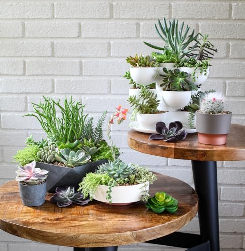 The HC Companies 6 Inch Round Plastic Succulent Capri Bowl 6"x6"x2.25" in Faux Concrete Color - color: Faux Concrete, size: 6"