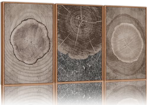SIGNINART Beige Tree Ring Framed Canvas Wall Art Set, Abstract Black and White Rustic Wood Wall Decor, Neutral Wood Stump Artwork, Modern Art Prints for Bedroom Living Room Office 16"x24"x3 - color: Beige Tree Ring, size: 24"L x 16"W