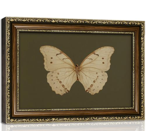 VZKRHPGA Vintage Gold Framed Butterfly Wall Art,Watercolor Green Prints - color: Butterfly, size: 16"L x 12"W