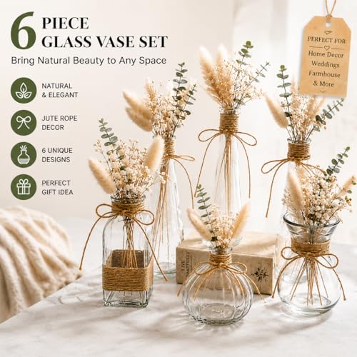 Glass Bud Vases Set of 6 for Flowers, Clear Small Vases with Jute Rope