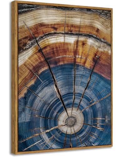 BingruiArt Faux Wood Tree Ring 02 Canvas Wall Art 12x16 Framed - color: Tree Ring - 02, size: 16"L x 12"W