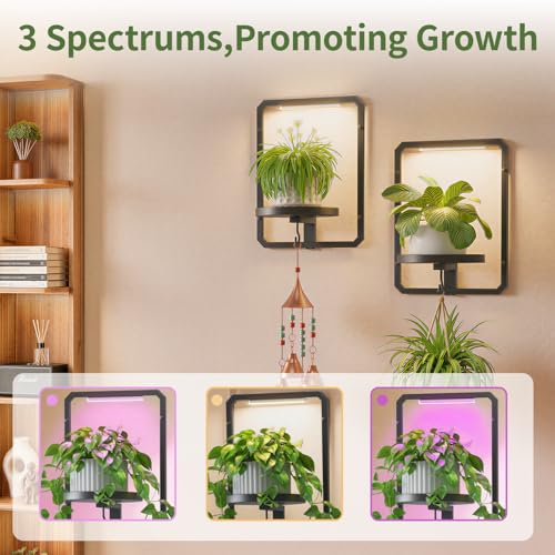 LASZOLA Plant Picture Frame Holder Shelf Wall with Lights, 3 Pcs Black - color: Glossy Black with Lights, size: 3