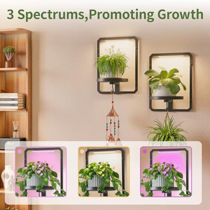 LASZOLA Plant Picture Frame Holder Shelf Wall with Lights, 3 Pcs Black - color: Glossy Black with Lights, size: 3