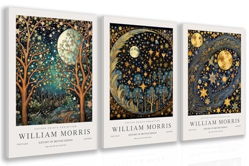 Hianan Wrapped Canvas William Morris Moon Star Wall Art Set of 3, 12x16 in - color: Dark Blue,Gold, size: 16"L x 12"W