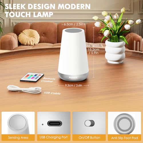 Auxmir Rechargeable Night Light, Touch Table Lamp with Remote, Silver - color: Silver