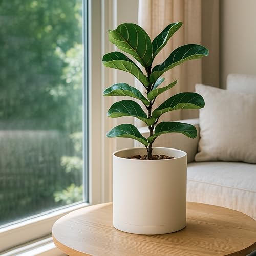 D'vine Dev Plastic Planter Pot with Saucer, 10 in, Oatmeal, 74-X-H-2 - color: Oatmeal, size: 10"