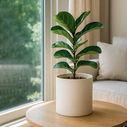 D'vine Dev Plastic Planter Pot with Saucer, 10 in, Oatmeal, 74-X-H-2 - color: Oatmeal, size: 10"