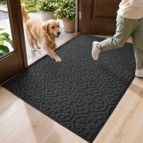 DEXI Front Door Mat Indoor Entrance, 32x48 Entryway Doormat, Dark Grey - color: Dark Grey, size: 32" X 48" (Rectangular)