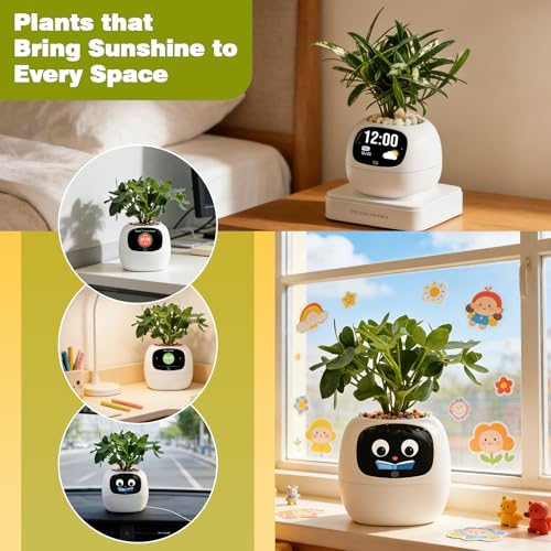 PLANTSIO Smart Plant Pot with Screen, 80ml Self-Watering Planter White - color: White