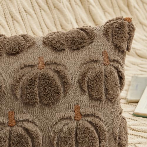 MIULEE Fall Pumpkin Pillow Covers Fall Decor Coco Brown Brown Stem 18x18 - color: Coco Brown Brown Stem, size: 18" x 18" (Pack of 2)