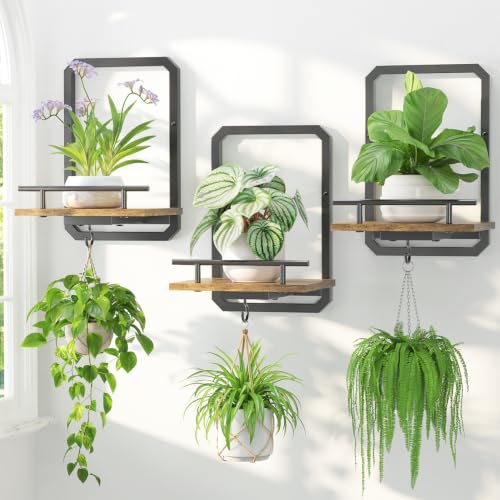 LASZOLA Plant Picture Frame Holder Shelf Wall Window Indoor, 3 Pcs Brown - color: Brushed Black+Brown, size: 3