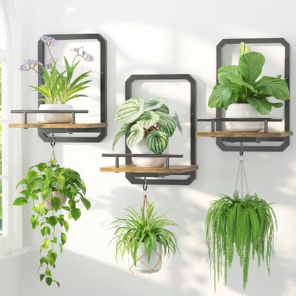 LASZOLA Plant Picture Frame Holder Shelf Wall Window Indoor, 3 Pcs Brown - color: Brushed Black+Brown, size: 3
