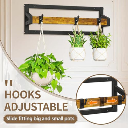 LASZOLA Plant Hanger Holder Shelf Indoor Window Wall Mount, 2 Pack Brown - color: Black+Brown, size: 2
