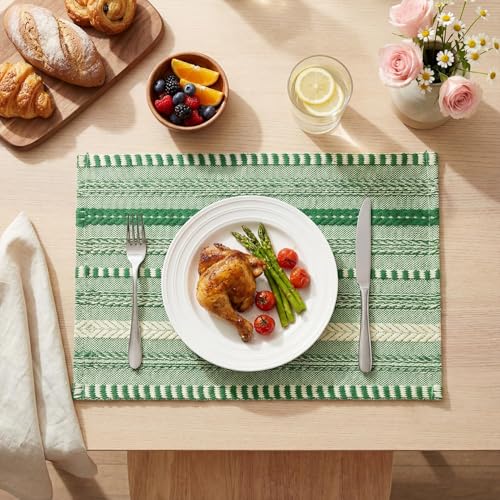Artoid Mode Emerald Woven Braided Stripe Placemats Set of 6-12x18 Inch - color: Emerald, size: 12" x 18", 6 Pcs