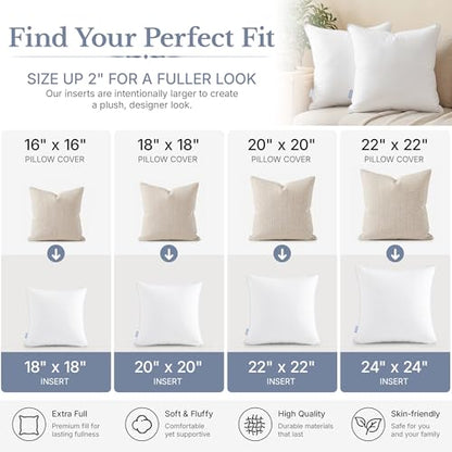 Leeden 18x18 Throw Pillow Inserts Set of 2-100% Cotton Cover - size: 18x18 Inch