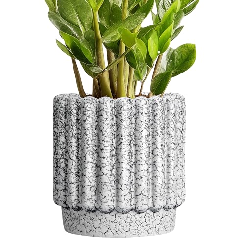 Ceramicfor Ceramic Planter, 7.6 Inch, Black and White - color: Black and White, size: 7.6 Inch