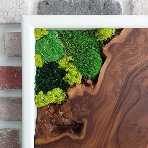White Framed Moss Wall Art, Vertical Cedar Wood & Preserved Greenery Modern Natural Wall Decor for Living Room, Office & Home, Zero Maintenance Handcrafted Gift 16"x32" - size: 16"x32"