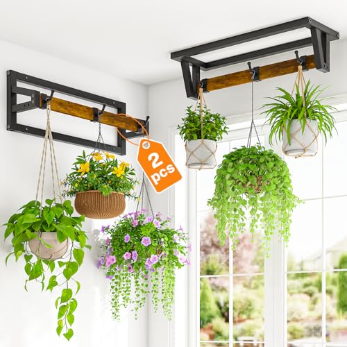 LASZOLA Plant Hanger Holder Shelf Indoor Window Wall Mount, 2 Pack Brown - color: Black+Brown, size: 2